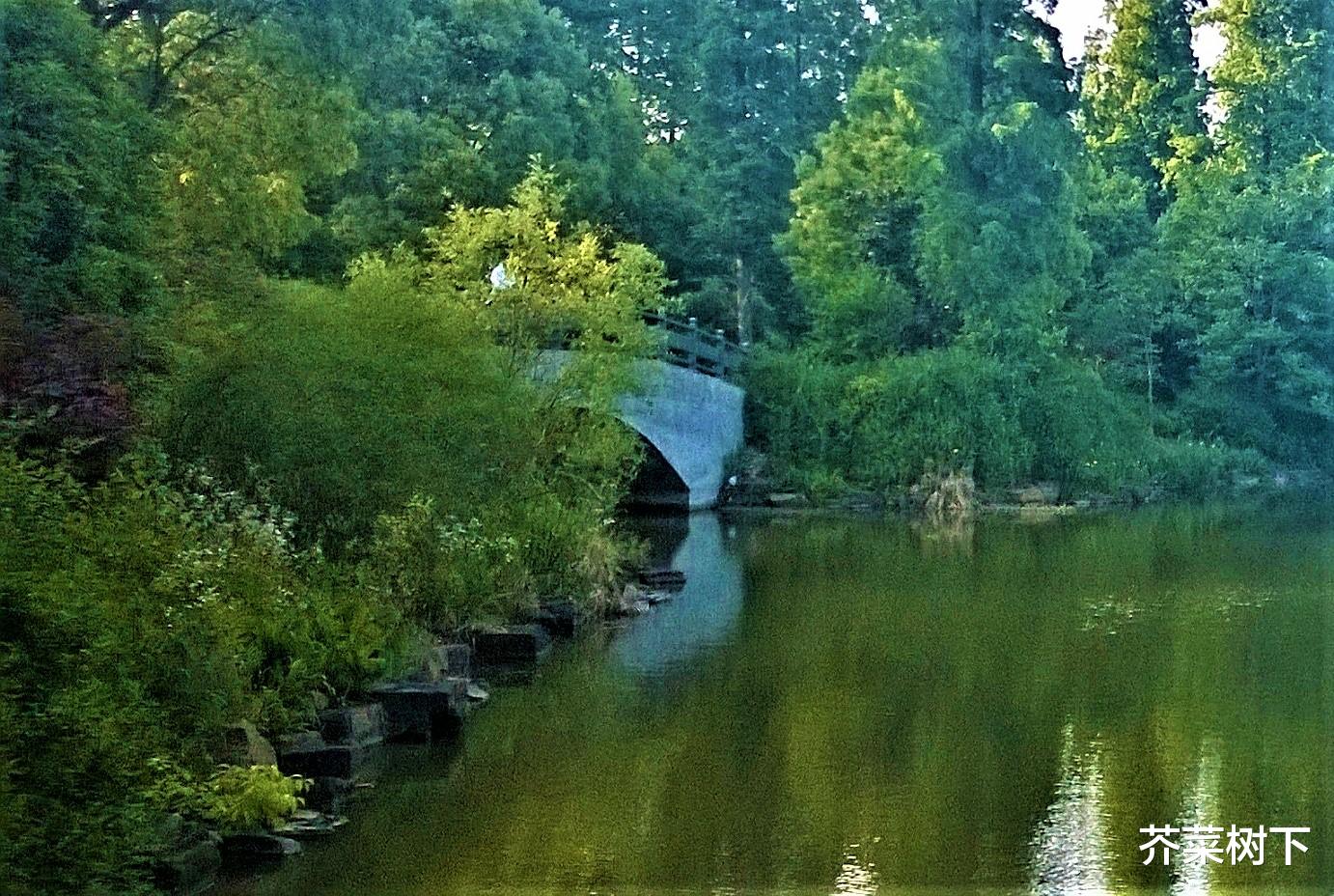 招聘|走一下，就没那么可怕