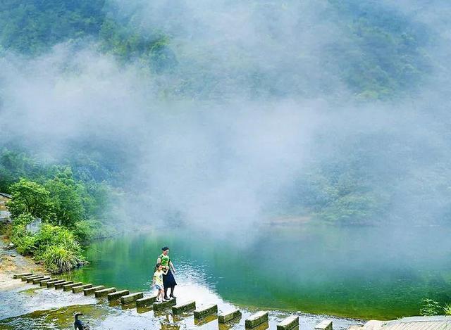 金华|浙中崛起一座桃花小镇，万亩桃林美成粉雪天堂，看完都想去玩！