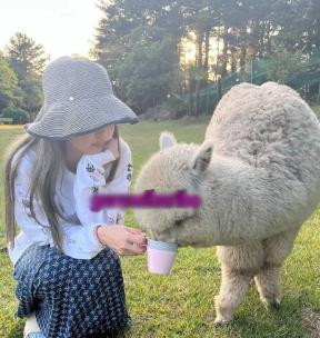 明星|V和Jennie的恋情再次引热议，网友直接曝光他们的吻额照与合照