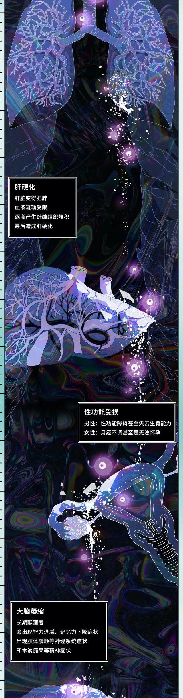 降血脂|酒精在体内的“活动轨迹”已公布,看完你还会继续喝酒吗?