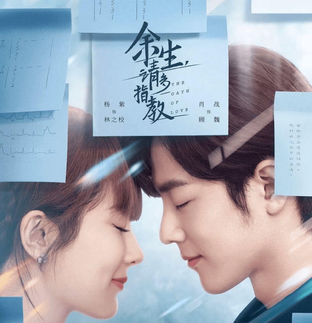 杨紫|肖战借木槿花对杨紫宣示主权?看到花语后我有磕到了,生生不息