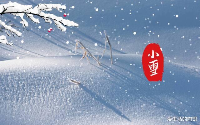 老话说“小雪进补吃4宝,不把医生找”!4宝是啥?为过冬打好基础