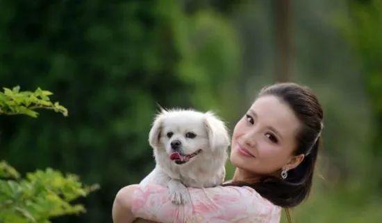 孙茜|槿汐姑姑孙茜哺乳期被家暴？评论区已沦陷，本人亲自发声回应