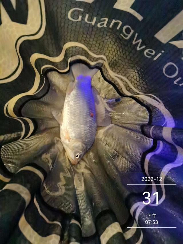 跨年|完美跨年夜:既是收官之战,又是开局之作