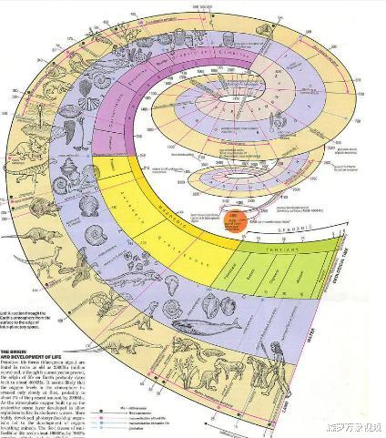 章鱼来自外星?科学家研究表明,这个怀疑或许是对的