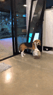 |洗衣服时不小心把洗衣粉倒多了,第二天嫂子就和我哥离婚了