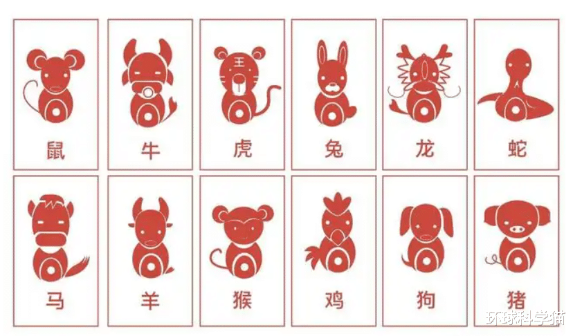 端午节其实是龙的节日!龙是否真存在,为何十二生肖之中也有龙?