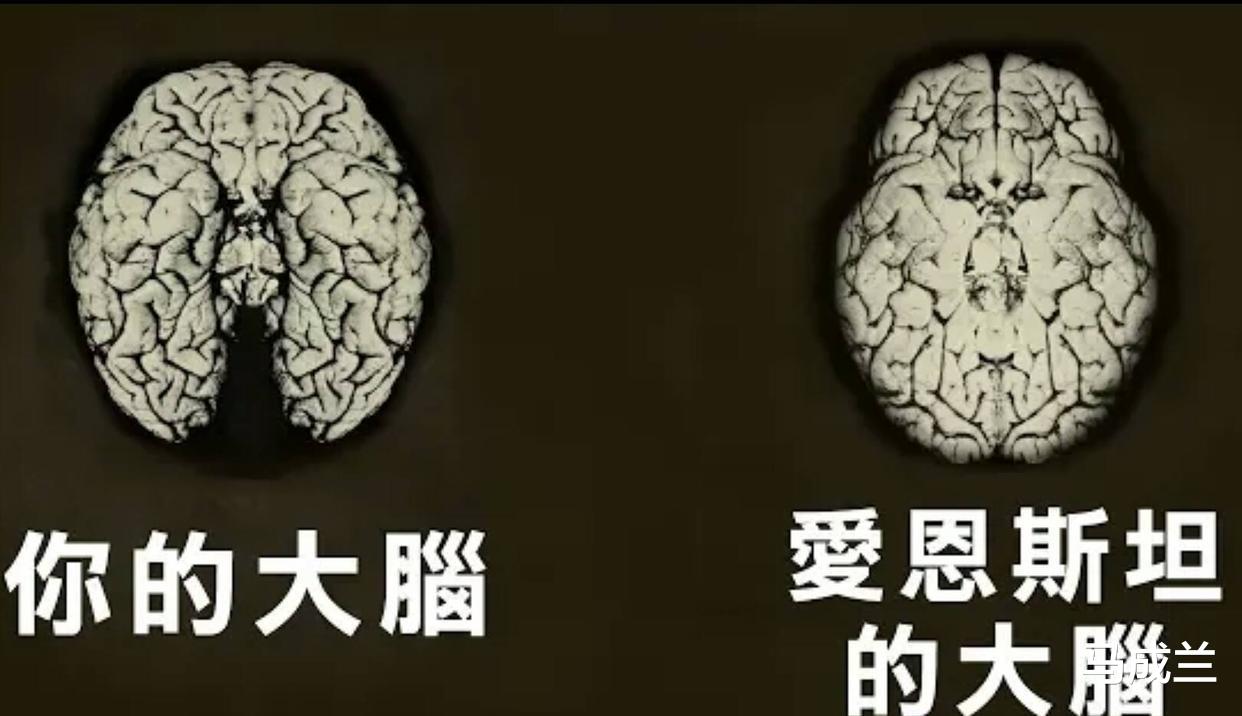 爱因斯坦死前说了两句话,护士没听懂,他死后大脑被切成240片