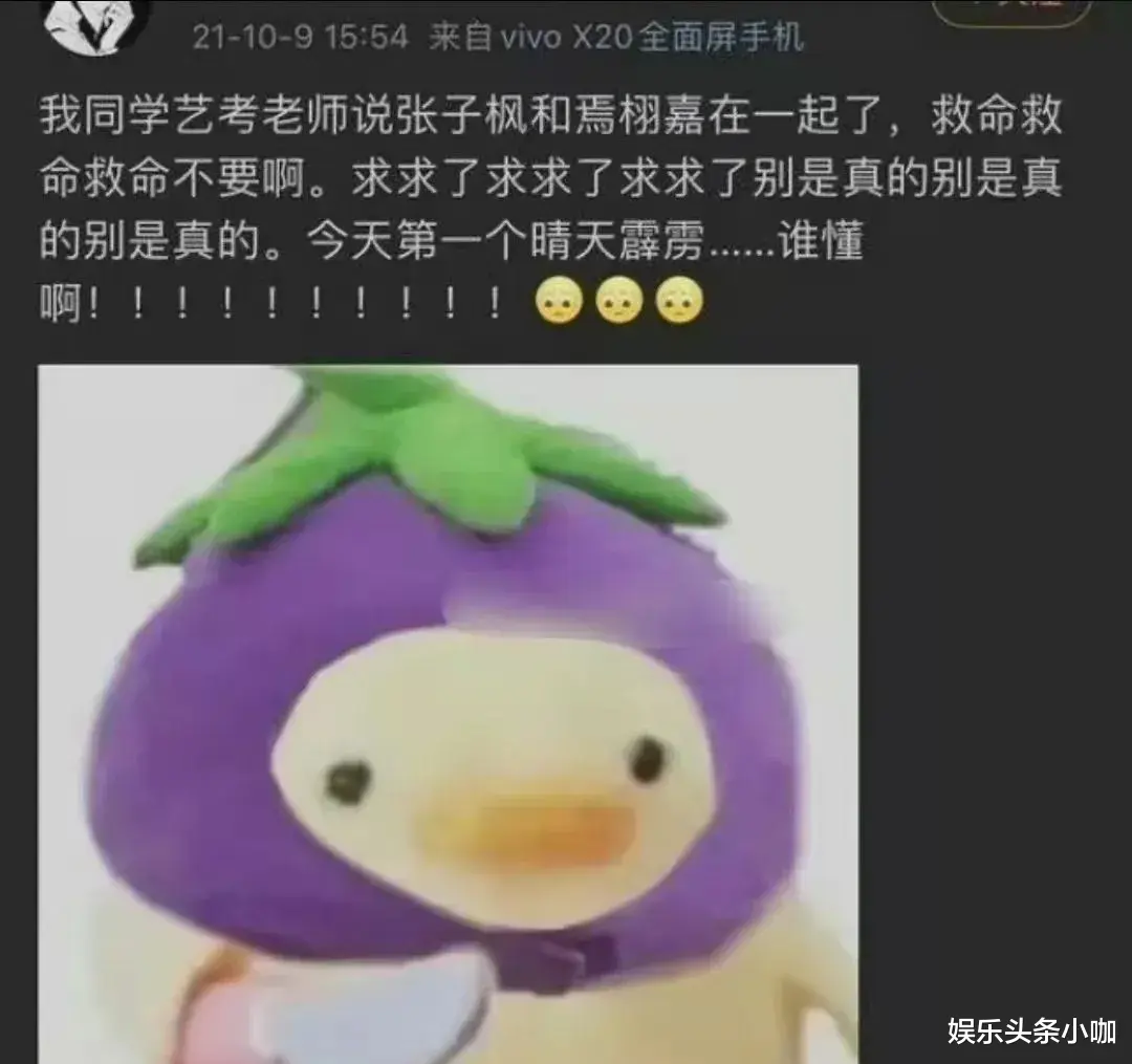 焉栩嘉|他俩恋情爆出，却被全网劝分？