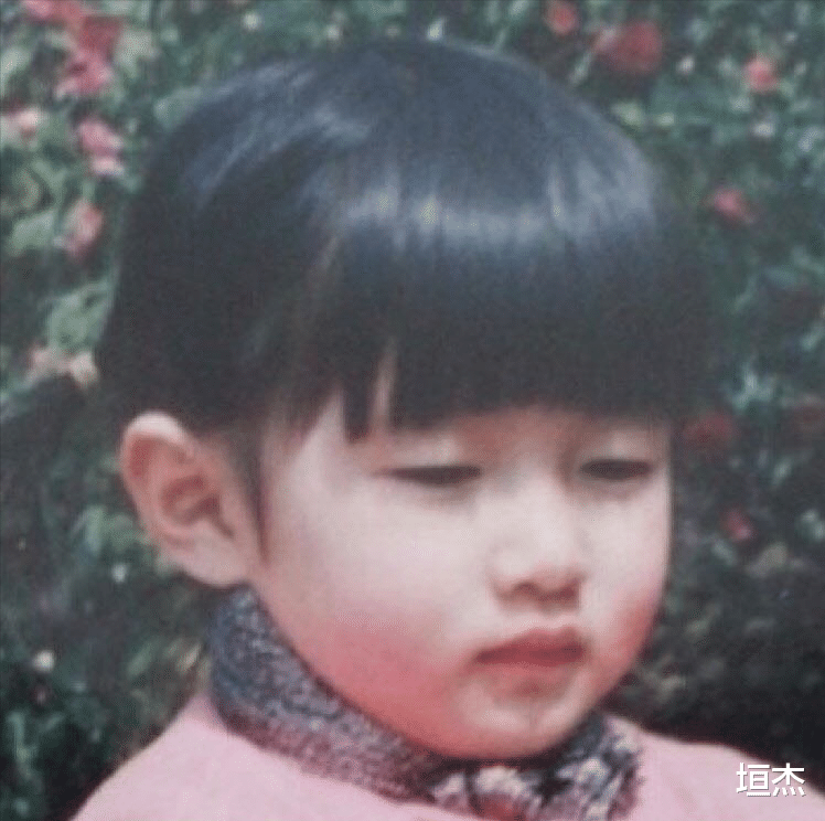 孙俪|上海女星又嗲又美？最出名的这8位都以独立著称，孙俪挑大梁