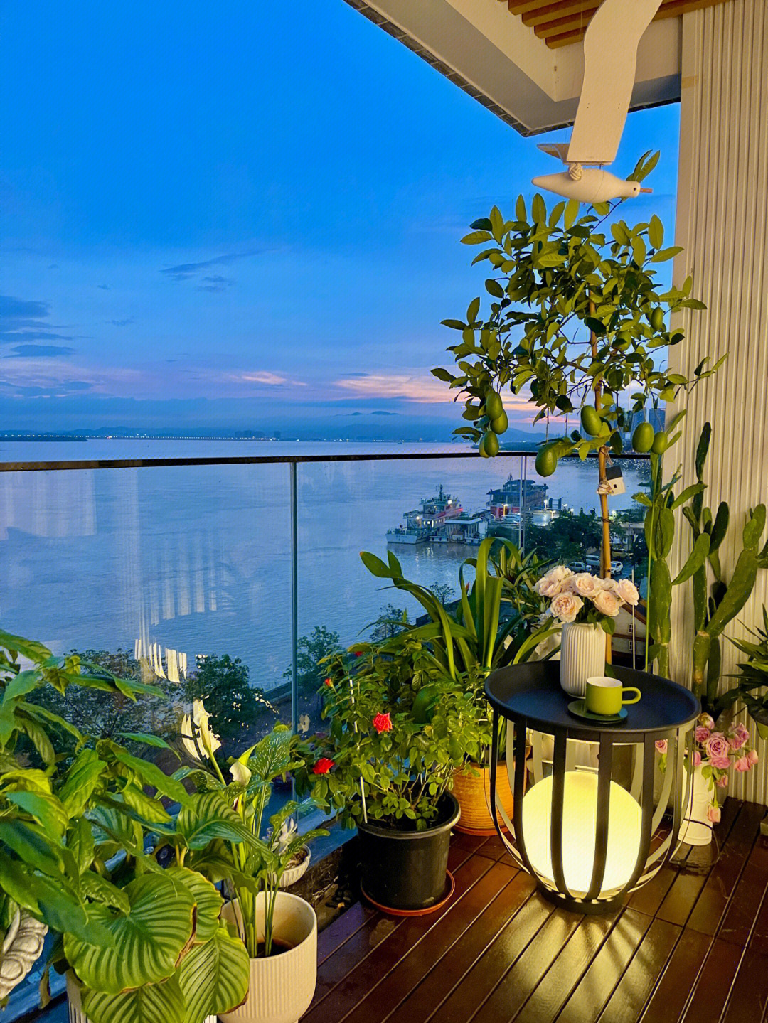 6楼江景房,开放式阳台花园改造 ,仿佛置身在大自然的森林里