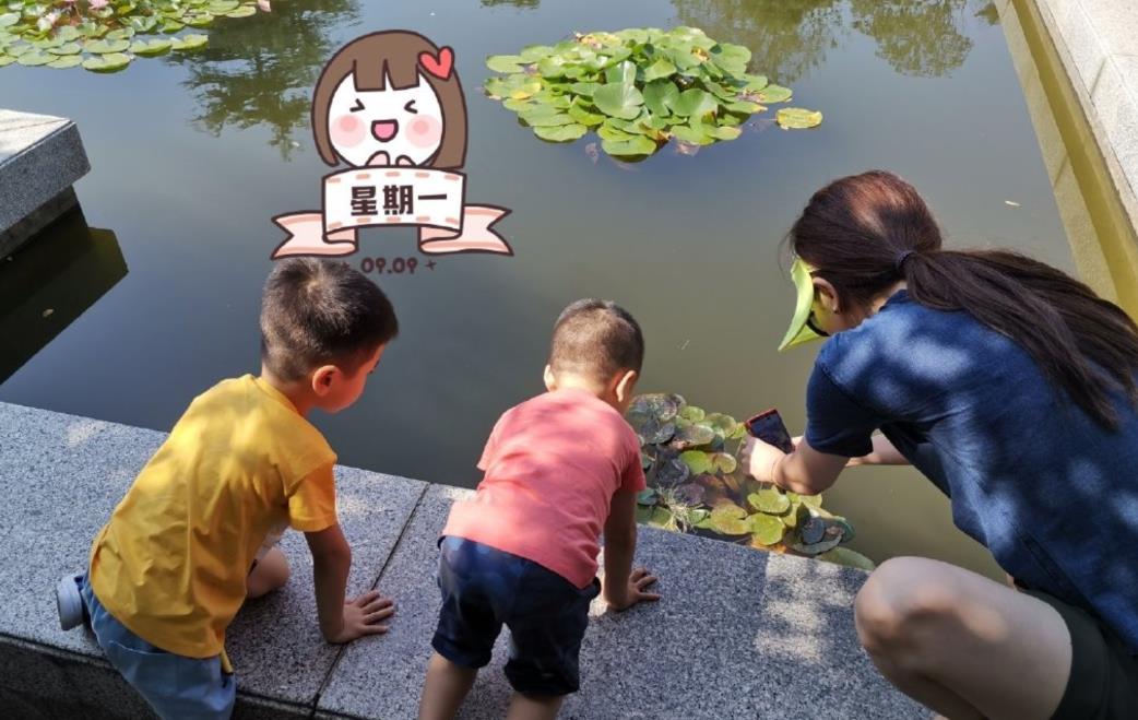 刘亦菲|央视主持李思思：我这辈子最正确的决定，就是嫁了一个平凡的丈夫