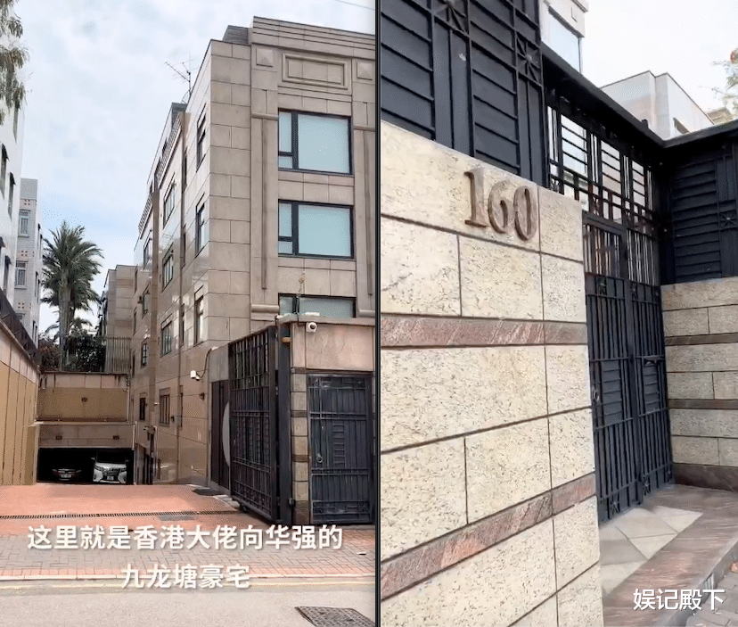 豪宅|向太夫妇豪宅曝光，富人区别墅面积庞大，桑拿健身房古画应有尽有