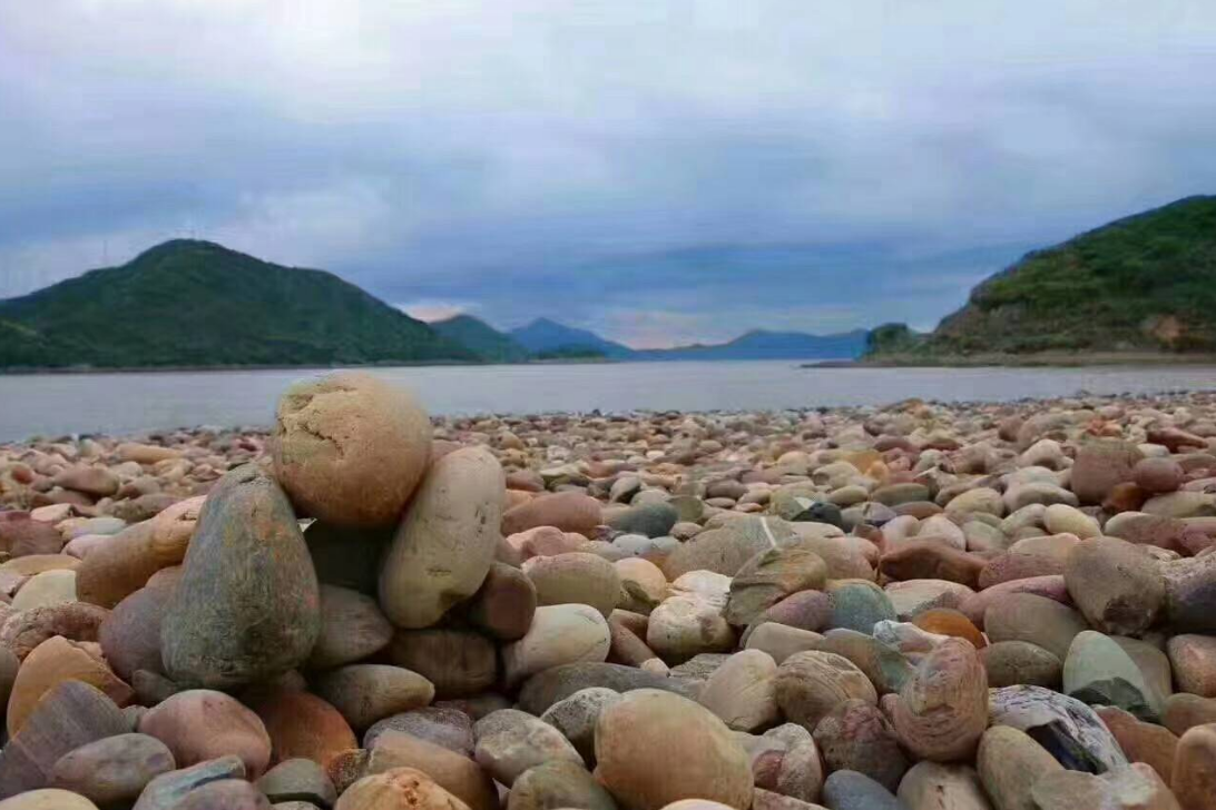 荷花|浙江有什么有趣的景点