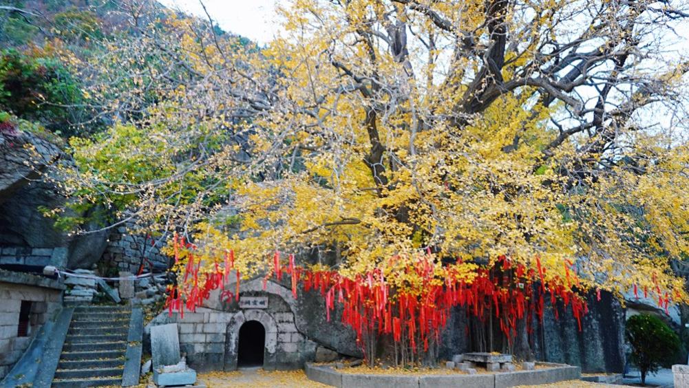 青岛市|国内罕见的岩洞道观，因张三丰而闻名，据说许愿很灵就在青岛崂山