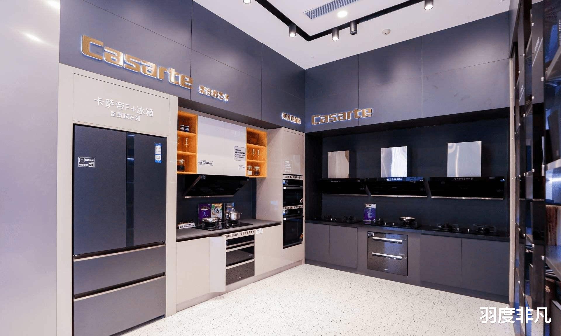 苹果|什么是真正的嵌入式家电？别再把传统家电塞进柜子里了