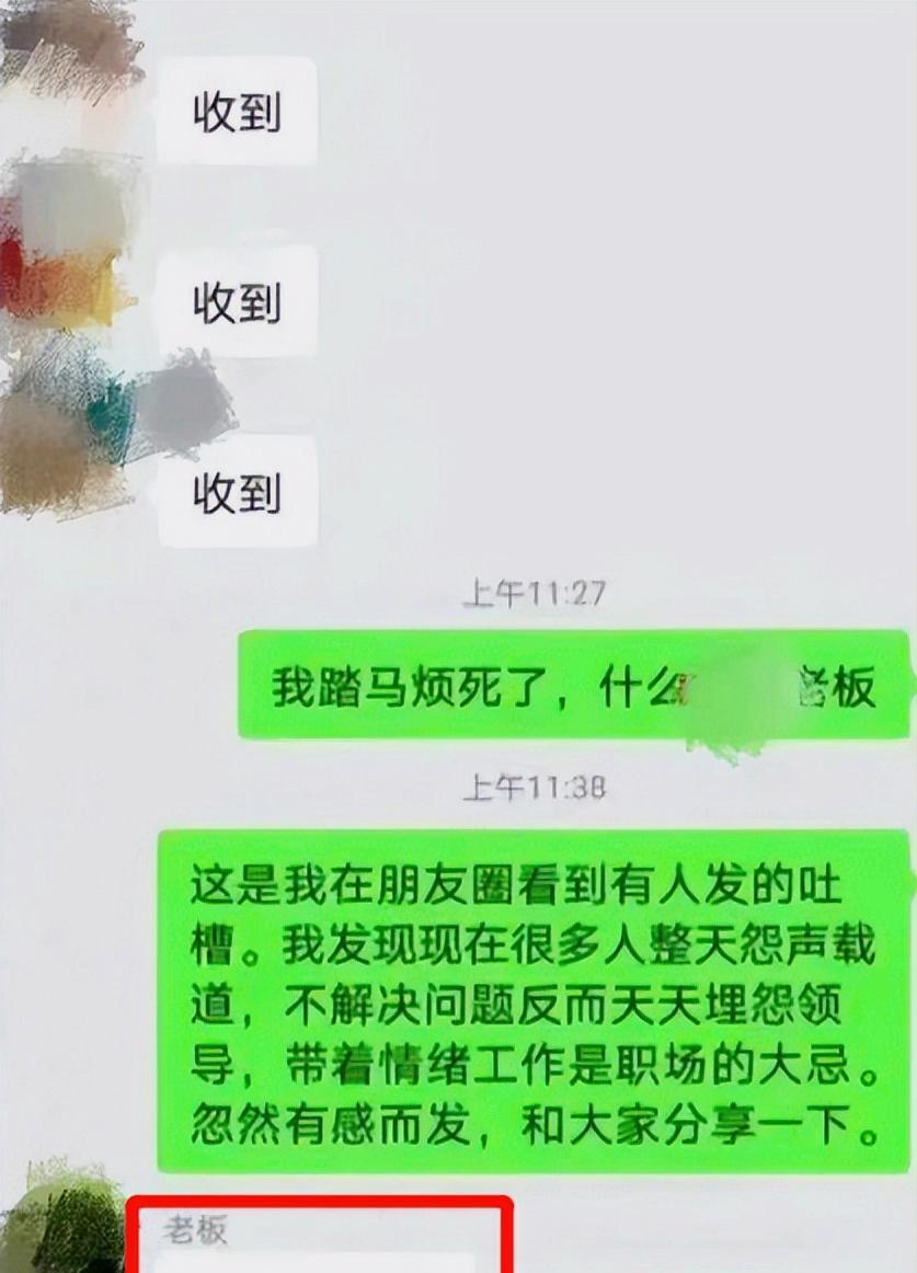 河东|“聚餐是说你坏话”，00后大学生不光整顿职场，回怼老板也不废话