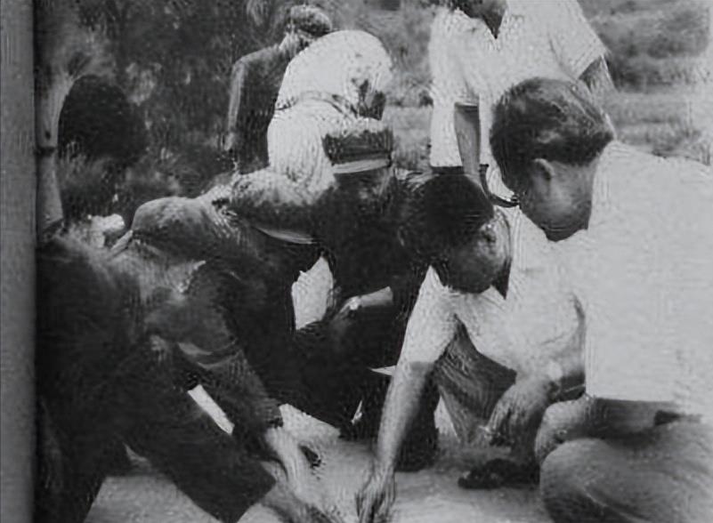 1983年头号通缉犯东北双虎,惊动中央高层,死前喃喃5字意味深长