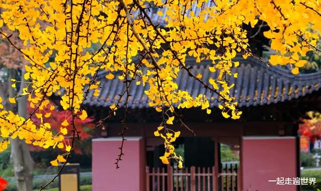 北京市|10月赏秋，首选这3座城市，风景秀丽，景色迷人