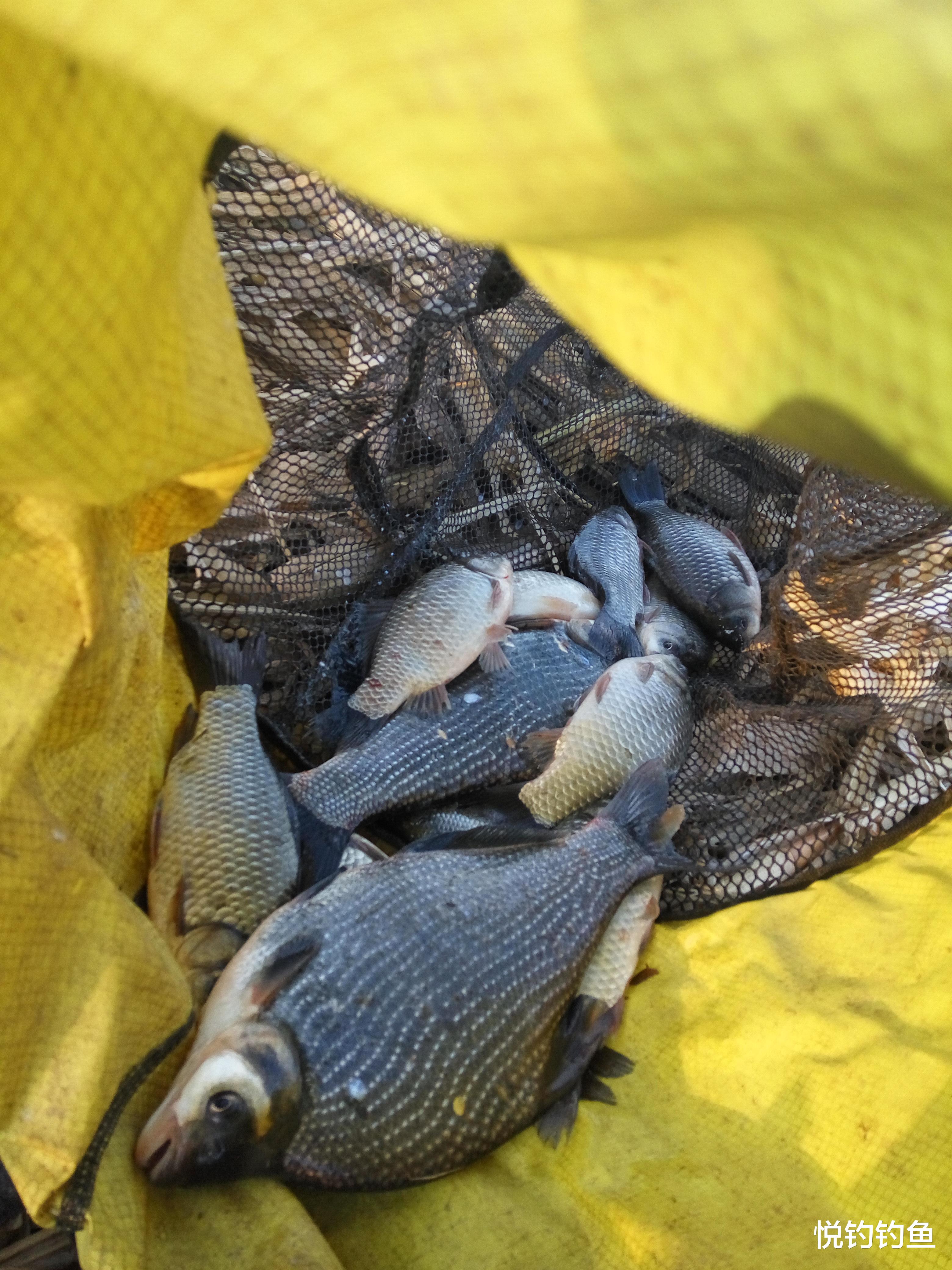 池州|温度多变的春季出钓，风的影响也不容小觑，我有两个应对方法