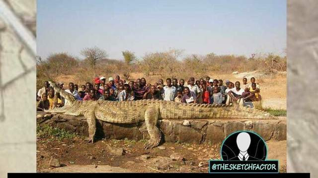 20个活久未见的历史，4万年前出生才一个月的猛犸象，保存完好