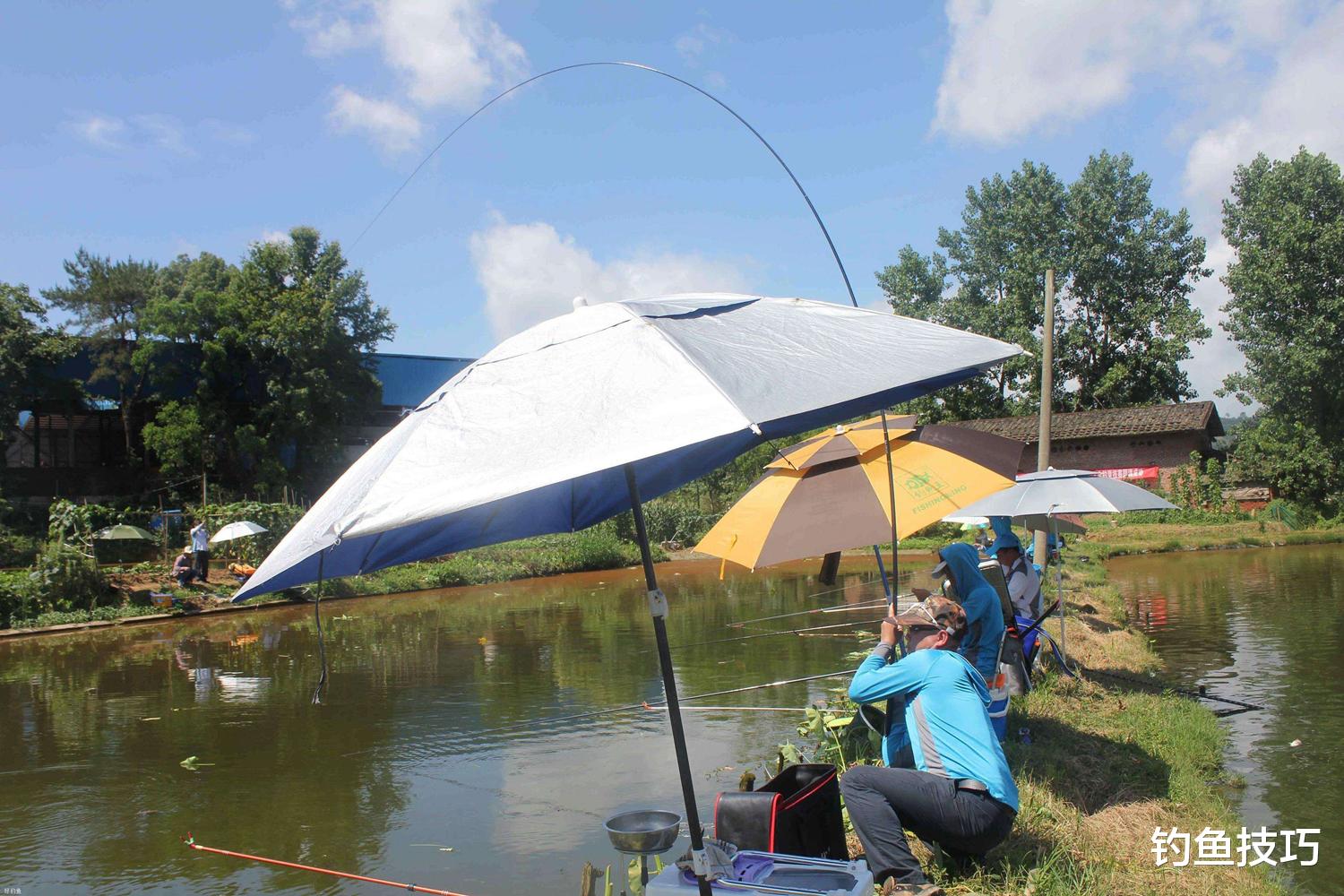 |为什么钓鱼时经常跑鱼？4种跑鱼情况的原因分析