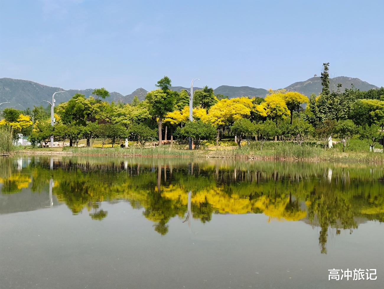石家庄|石家庄这座湿地公园有多美?摄影师告诉你:看图就知道了
