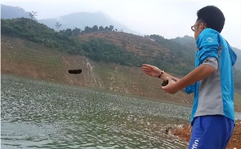 饵料|入冬后钓鱼，很多钓友忽视了一个重要环节，难怪感觉鱼难钓