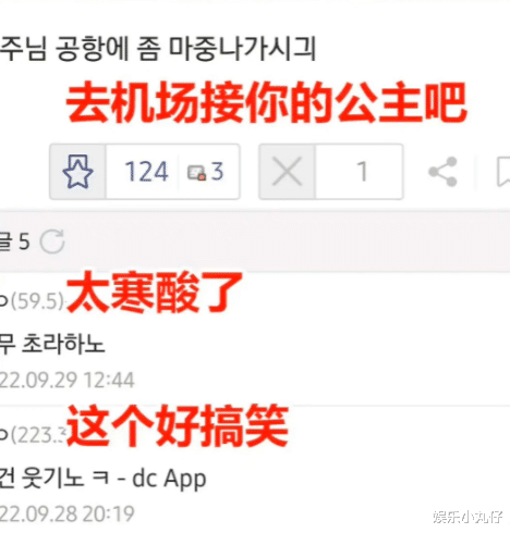 金晨|曝张元英现状惨淡,两国机场共1人接机,韩网民嘲讽不断引争议