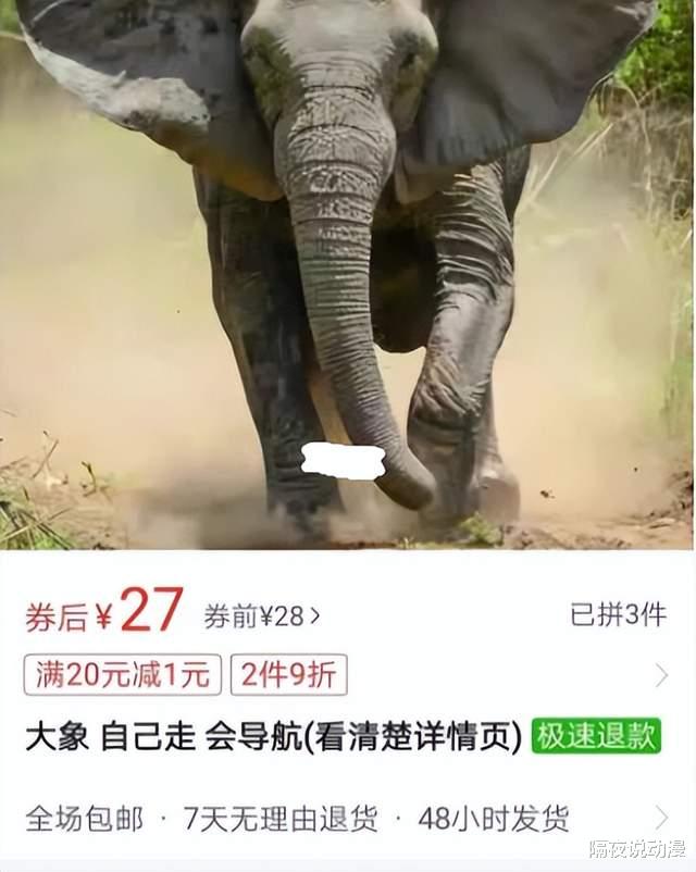 拼多多|拼多多上的不发货，藏着多少年轻人的寂寞？
