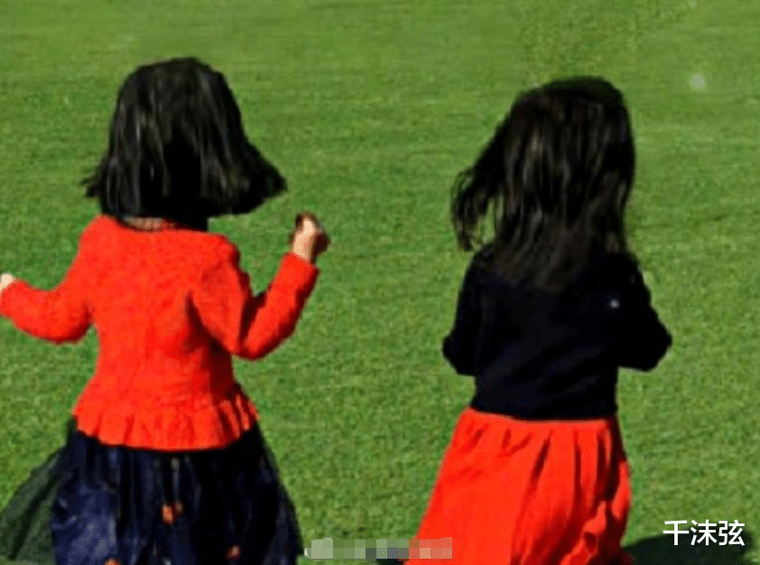 谢娜|谢娜晒照为双胞胎庆生!俩女儿草地奔跑好活泼,张杰无任何表示