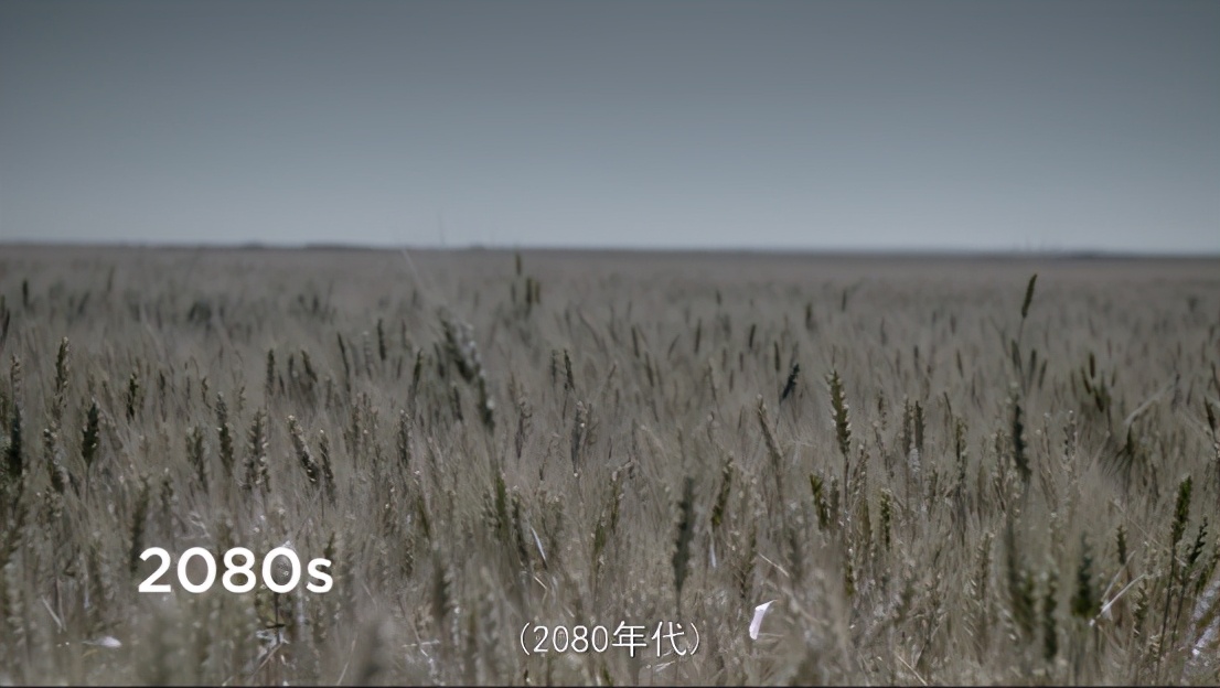 《大卫·爱登堡：地球上的一段生命旅程》：人类，请善待自然