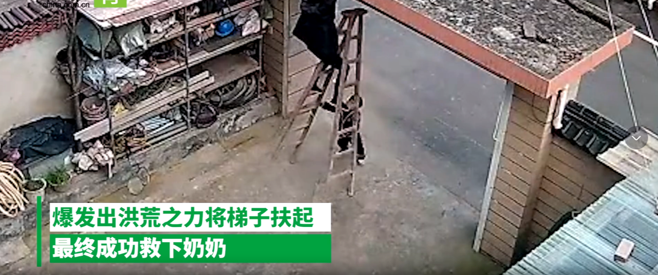 4岁孙子,撑近3米木梯救奶奶,机智!