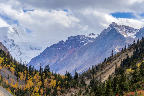 林芝|世界上唯一一条海拔8000左右、平均500米的峡谷，景色美如画卷。