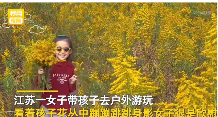 江苏苏州。一女子带着孩子到户外游玩,看到漫山遍野的黄花十分美丽