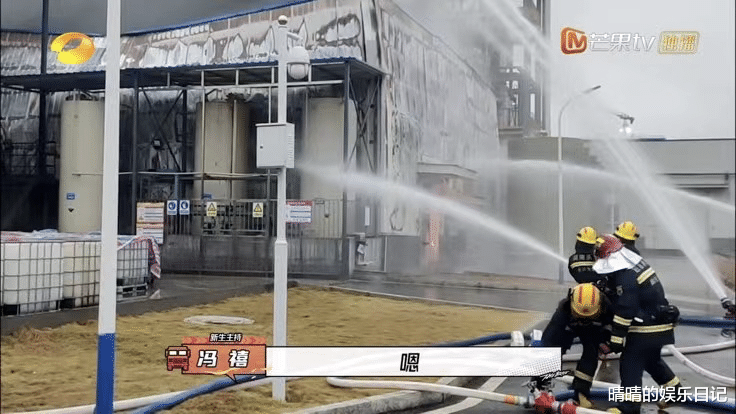 芒果台|芒果台太牛了！全新综艺，不用何炅汪涵两大台柱，还能收视夺冠