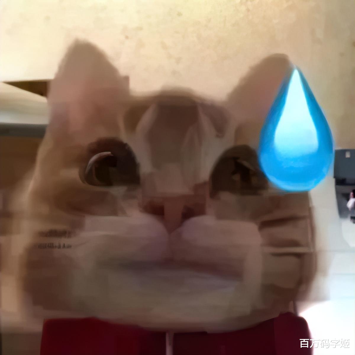 求职|“护工月薪2200，爱做不做”：如今的求职现状，已经突破我想象