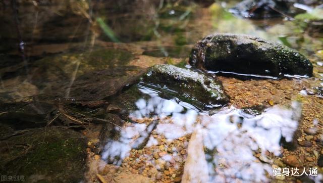 腹泻|34岁女驴友持续腹泻21天后,查出艾滋和肺吸虫,她的教训令人深刻