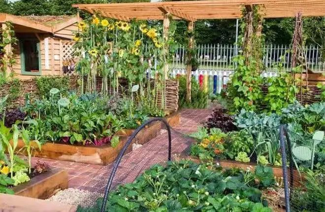 花园风格的重要组成部分——植物风格,该如何搭配呢?