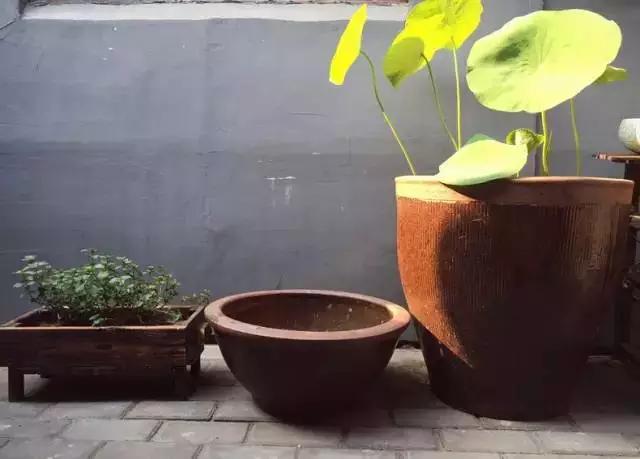 惊艳！美女仅花3500块，打造的出租屋竟媲美咖啡厅！