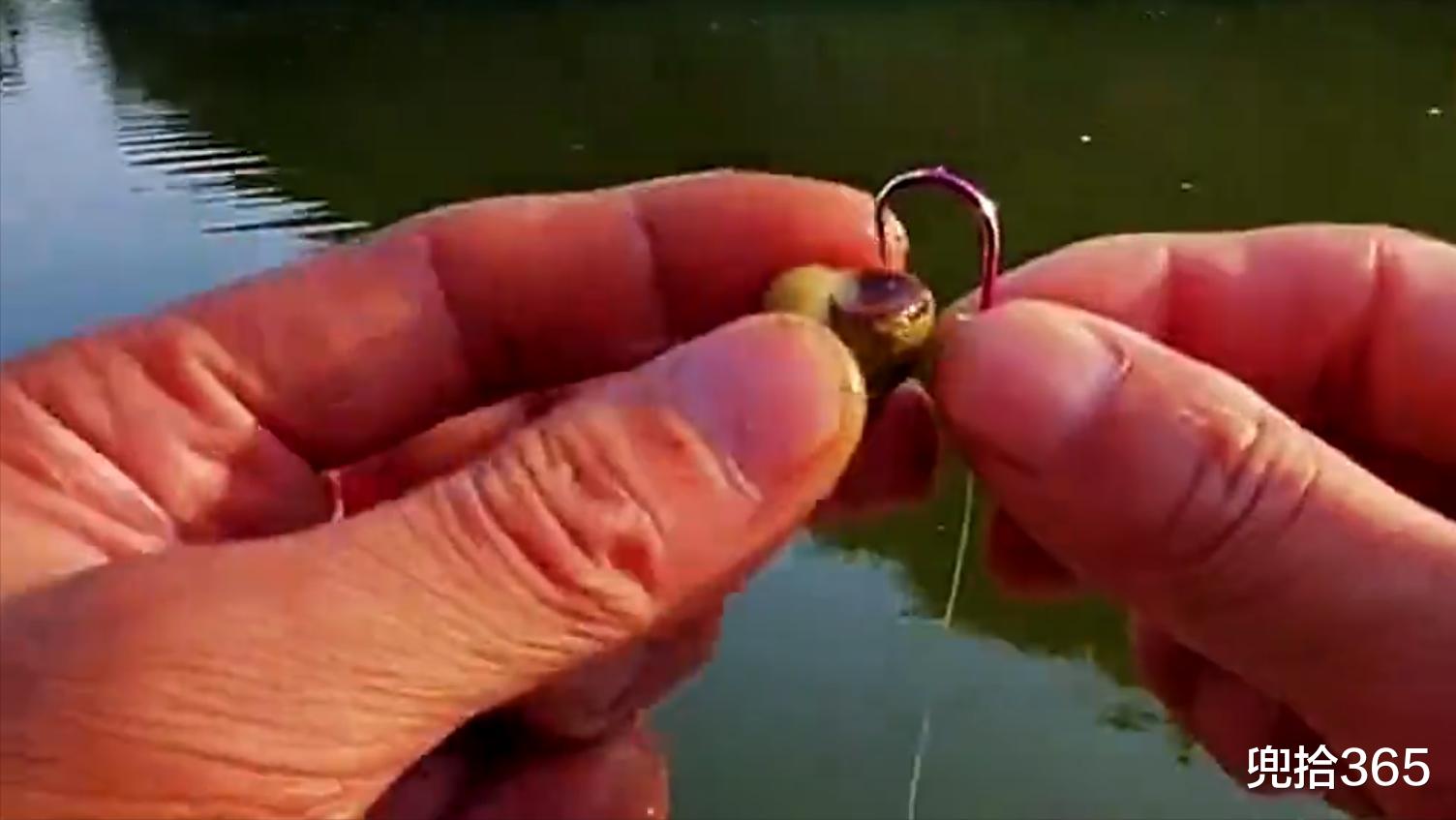 |湖南男子水库里野钓，罕见收获百斤重的“米级”大货，网友：放生