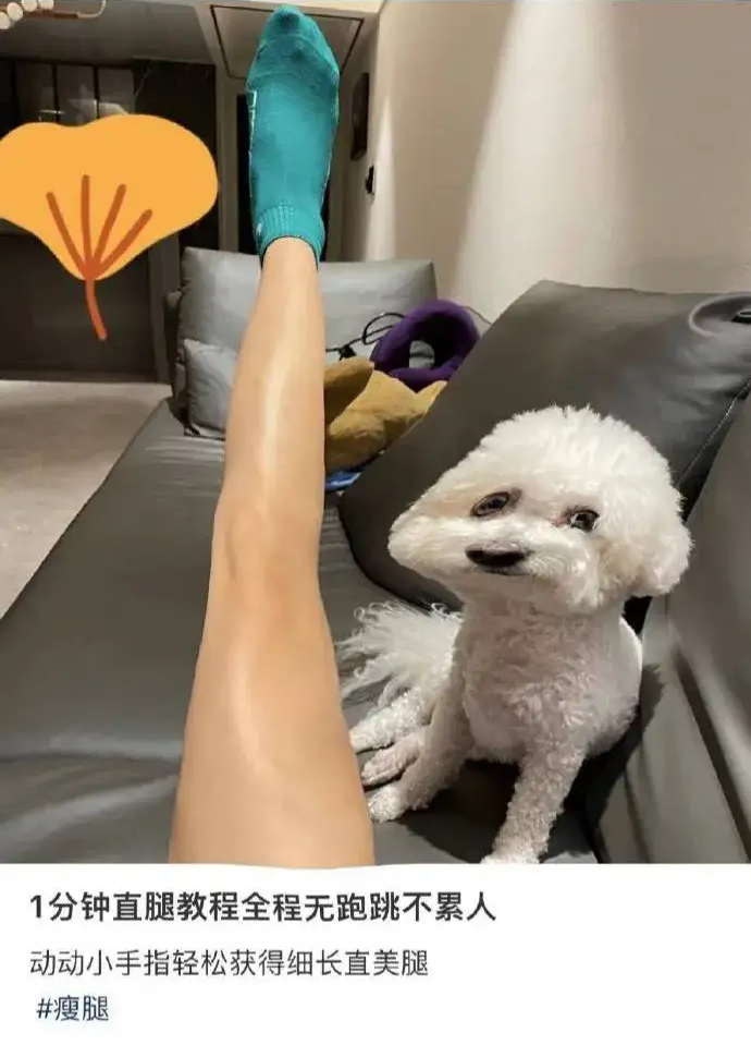 关晓彤|关晓彤这宽厚的臂膀给人一种两百来斤的错觉