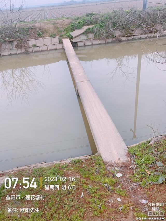 饵料|【钓鱼之家虾粉】平台虾粉真牛逼,野钓电排沟爆连鲫