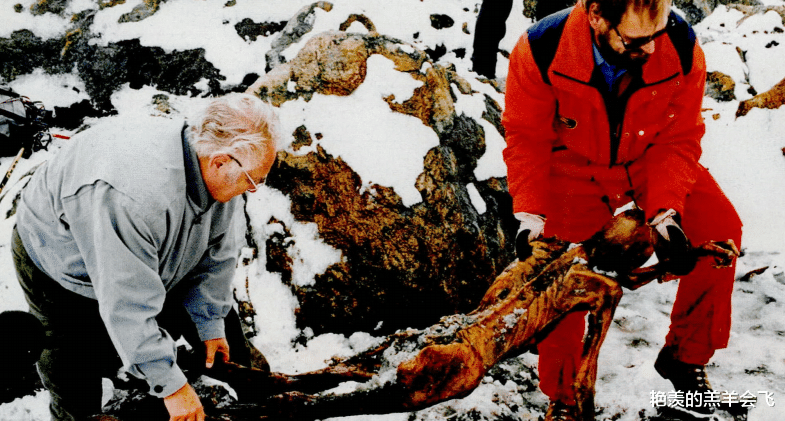 古尸奥茨:冰封5300年的史前人类,讲述一段传奇历史
