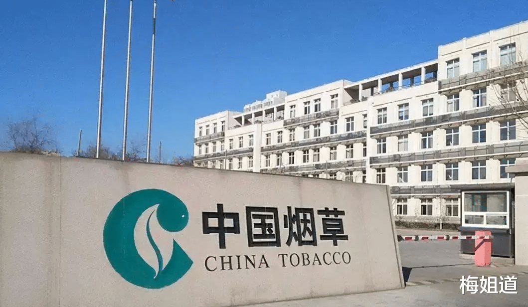 处女座|烟草岗位是公认的香饽饽，被录用的毕业生却很少，主要这三点原因