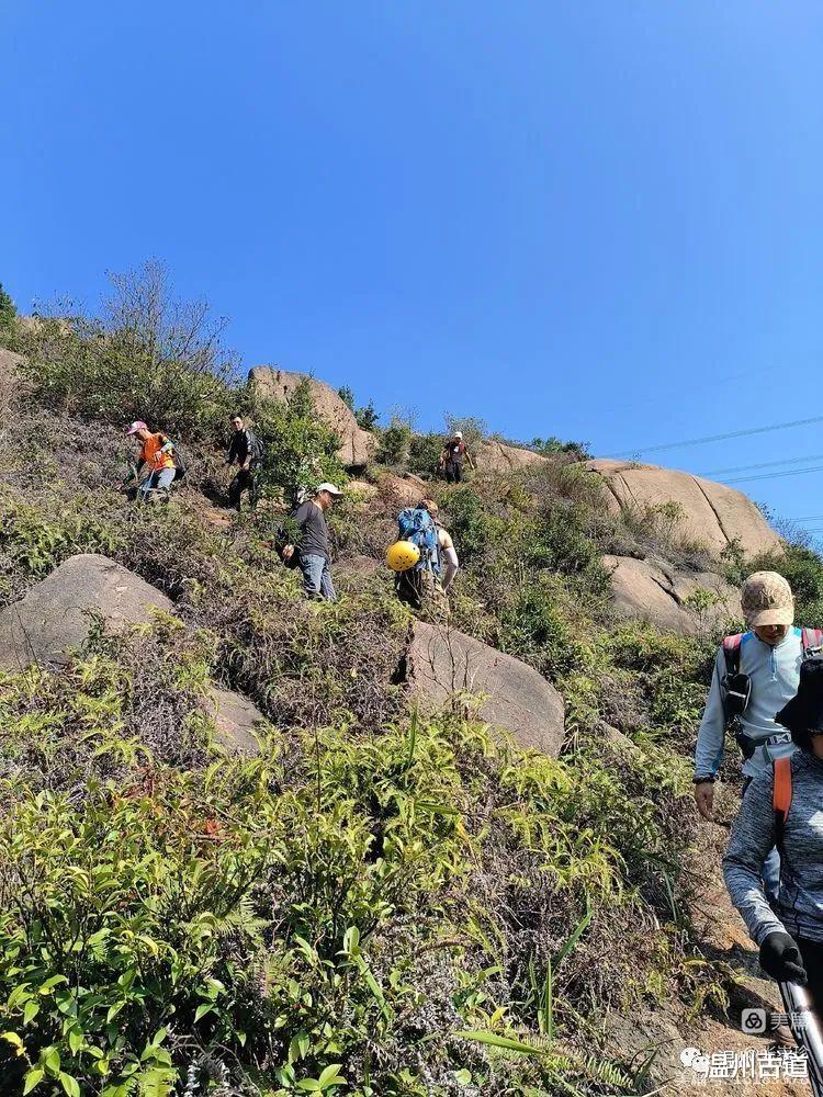 |太神奇了！大罗山居然有“海狮表演”，你可曾见过？