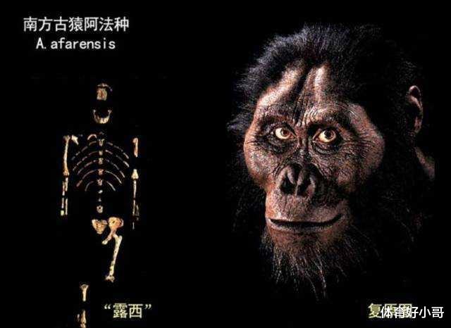 人类起源问题最大骗局,存在了100多年,3亿年前我们真是一条鱼?