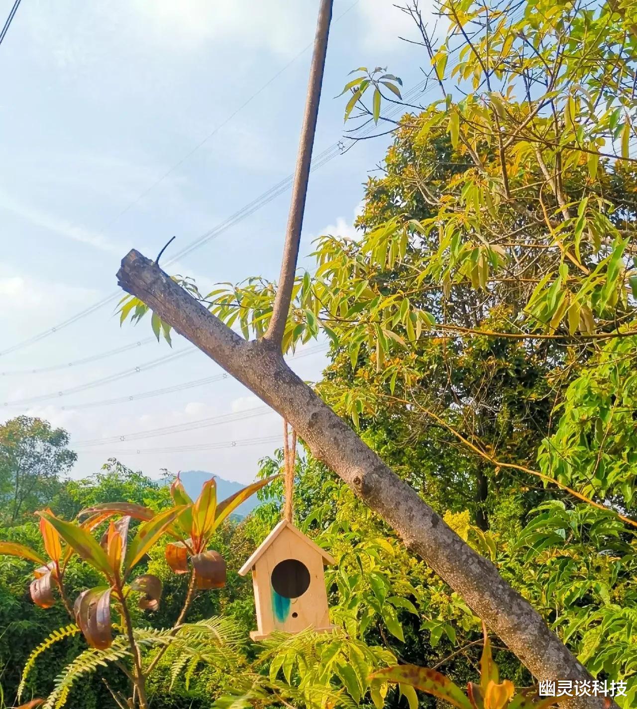 深圳市|突然发现现在的年轻人秉持一个共同信念：绝不贷款买房做房奴