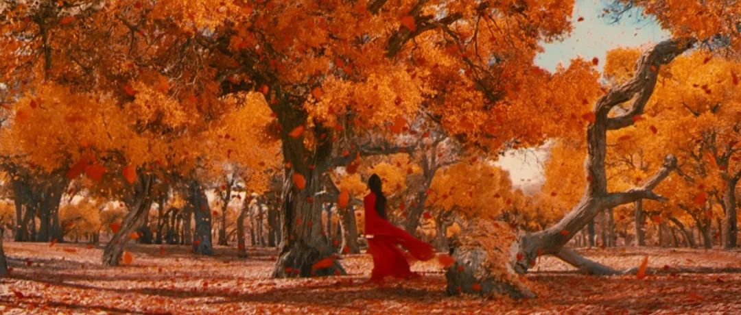 英雄|英国伦敦重映《英雄》：上映20周年重新看懂张艺谋