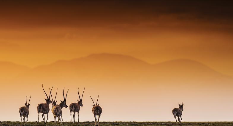 本溪|比拉萨神秘，景色不输川西，“门票全免”的青海小城，低调无比